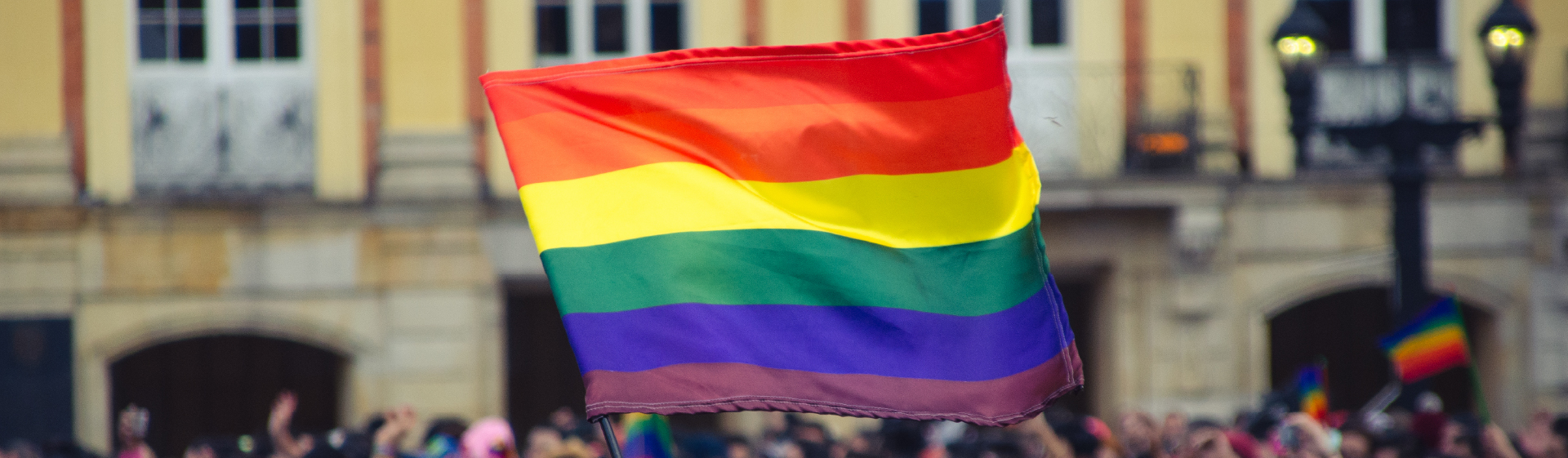 Subreporte y bienestar de la población LGBT en Bogotá: línea de base y lecciones a futuro para el análisis de datos a nivel nacional