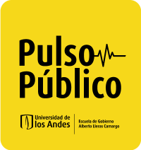 pulso-publico--logo